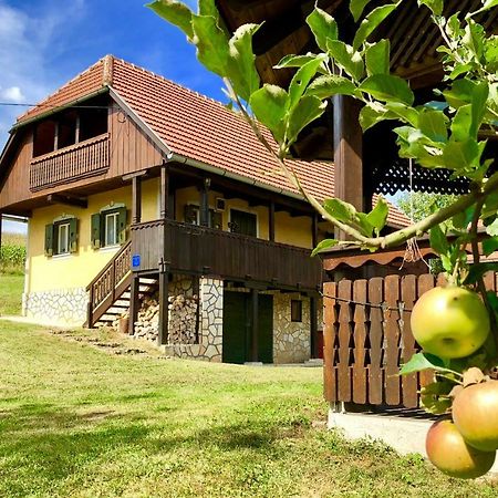 Country House Novosel Duga Resa Luaran gambar