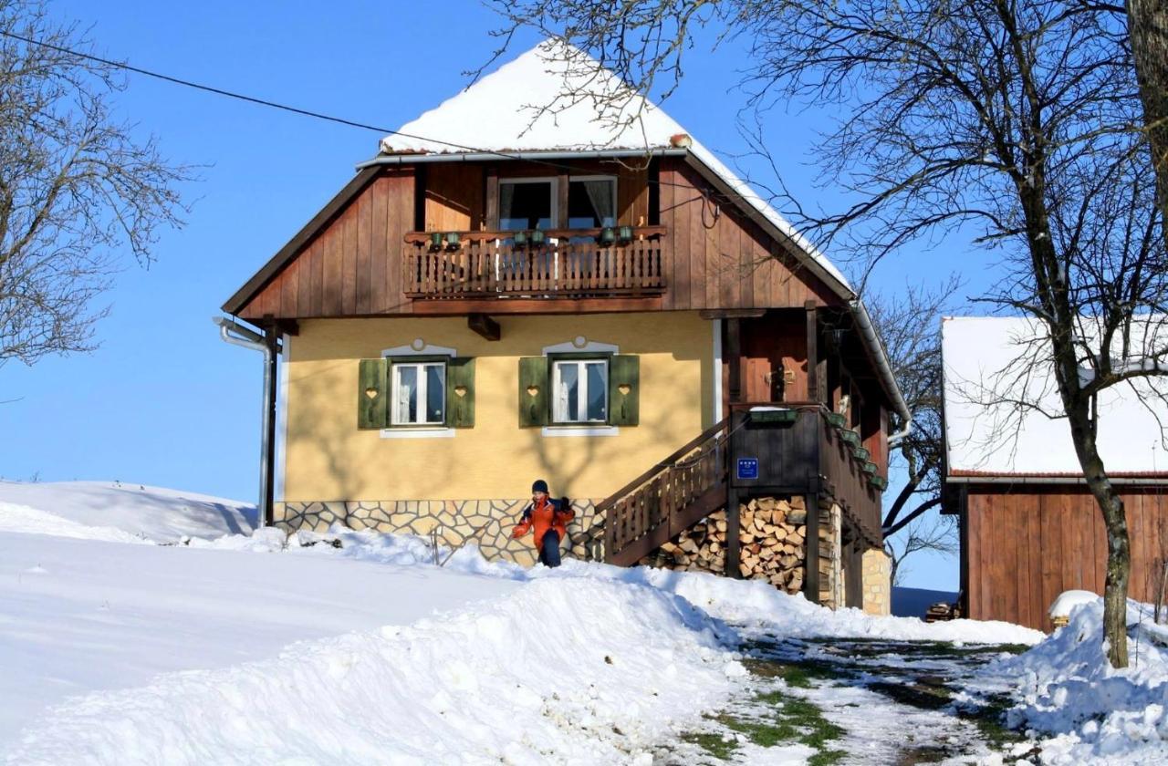 Country House Novosel Duga Resa Luaran gambar